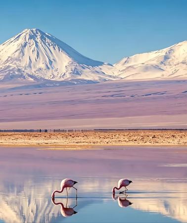 6D5N • Chile