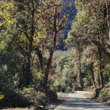 林芝+墨脱+来古冰川4日3晚跟团游