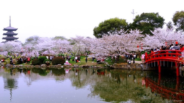 恩施土家族苗族自治州、恩施+11