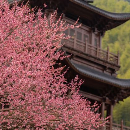 上饶葛仙村度假区2日1晚自由行