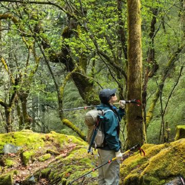 香格里拉+丙中洛风景区+尼汝村8日7晚私家团
