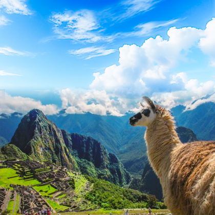 巴西+阿根廷+智利+秘鲁+乌拉圭16日跟团游