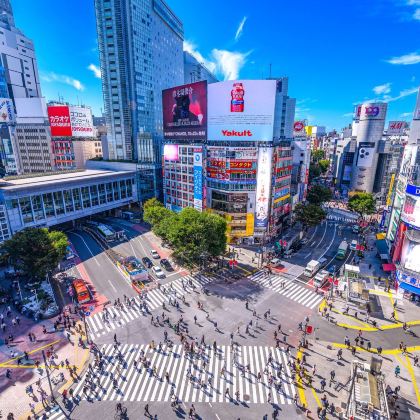 日本东京+富士山+京都+大阪+奈良7日6晚私家团