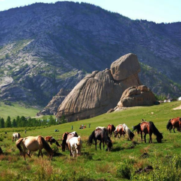 蒙古乌兰巴托+成吉思汗骑马雕像+特日勒吉国家公园+哈拉和林6日5晚自由行