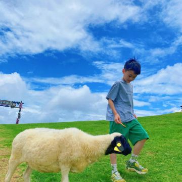 郴州+高椅岭旅游区+东江湖旅游区4日3晚私家团