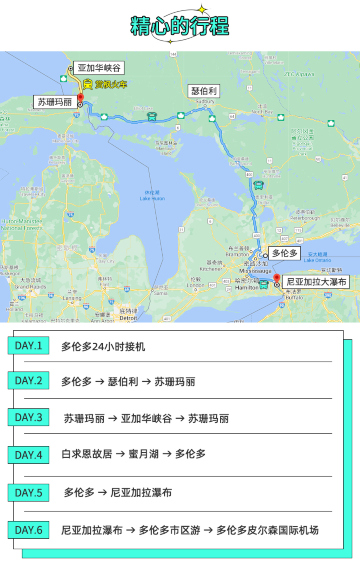 多伦多