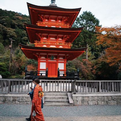 日本大阪+京都+奈良市5日4晚私家团