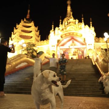 腾冲+瑞丽+芒市5日4晚拼小团