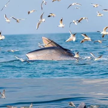 广西南宁+通灵大峡谷+德天跨国瀑布景区+北海+涠洲岛6日5晚拼小团