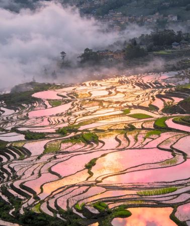 6D5N • No surcharge for Christmas - Magic Yunnan + Kunming + Jianshui + Yuanyang Terraces + Dongfengyun