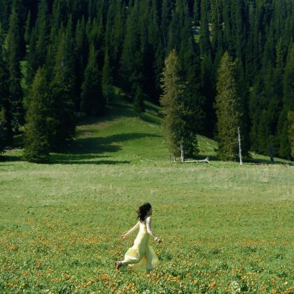 新疆乌鲁木齐+喀纳斯景区+世界魔鬼城+赛里木湖+那拉提旅游风景区10日9晚私家团