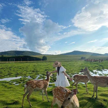 内蒙古呼和浩特+包头+辉腾锡勒草原+响沙湾5日4晚拼小团