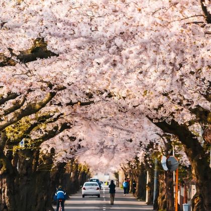 日本北海道札幌+函馆5日4晚私家团