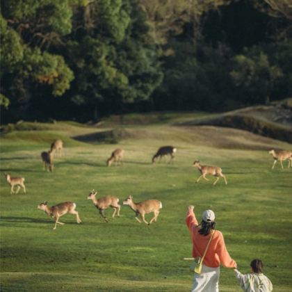 吉林长白山+延吉6日5晚跟团游