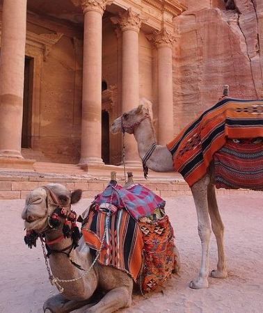 2D1N • Petra and Wadi Rum 2 Days 1 Night Tour from Aqaba