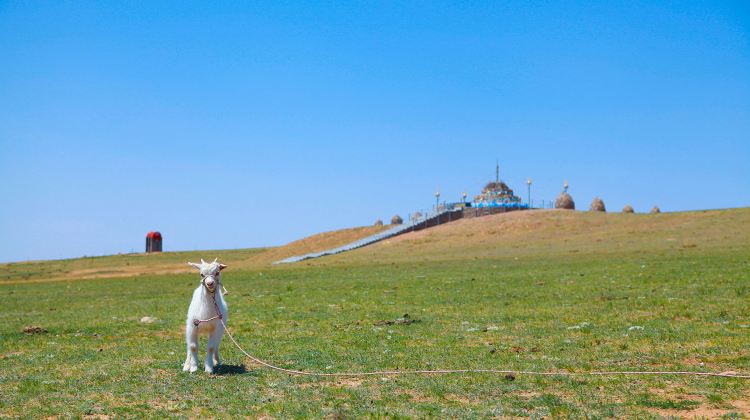 6D5N · Group Tours · Consultation offers discounts Hohhot + Xilamuren Prairie + Whistling Dune Bay