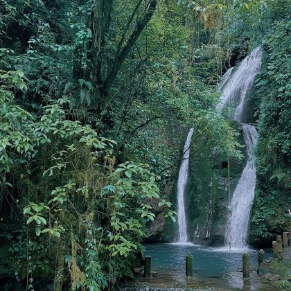 成都+都江堰+青城山5日4晚自由行
