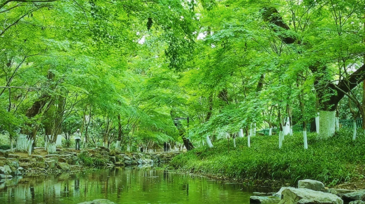 3-Day 3-day 2-night · Private Tour · China + Hangzhou + West Lake + Southern Song Imperial Street + Southern Song Dynasty Guan Kiln Museum + Qing He Fang