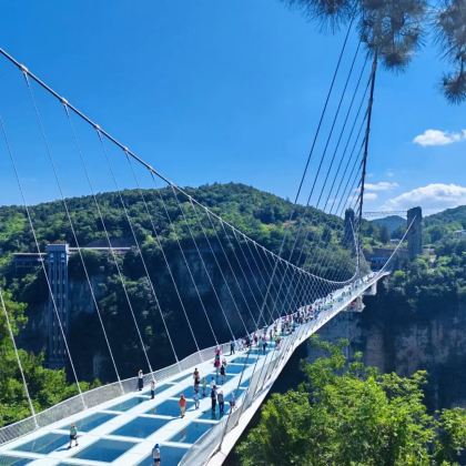 张家界+天门山+湘西+凤凰4日3晚跟团游