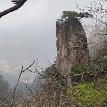九华山大愿文化园-九华大佛+百岁宫+化城寺+肉身宝殿+天台寺+花台-观景台4日3晚私家团