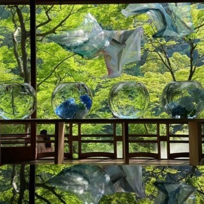 日本东京5日4晚自由行