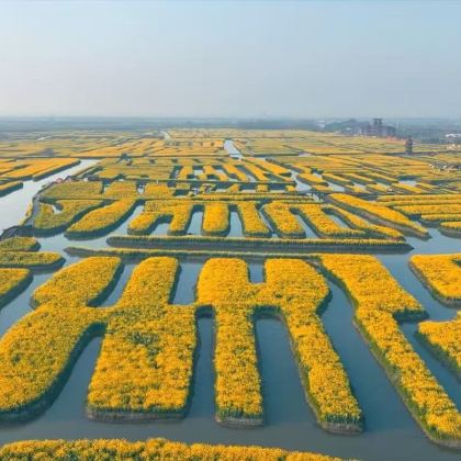 南京+扬州+泰州+兴化7日6晚私家团