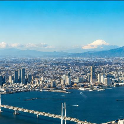 日本伊豆市5日4晚私家团