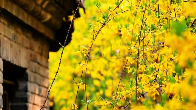 3D2N · Private Tours · Special Offer: Beijing Classic Tour & Simatai Great Wall