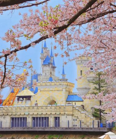 6日5晚 • 首爾和釜山·樂園首爾＋自然釜山｜24H專車接送機「愛寶樂園＋樂天世界」「太宗台＋海東龍宮寺＋海雲台」線上管家＆自選酒店