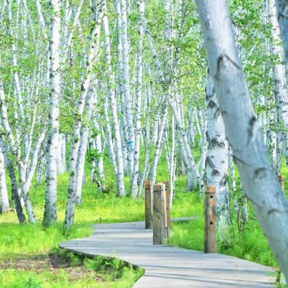 呼伦贝尔5日4晚私家团