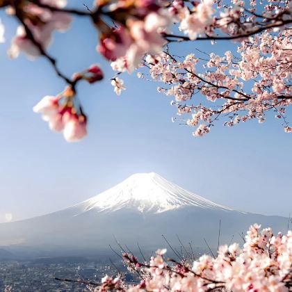 日本东京+轻井泽町5日4晚私家团