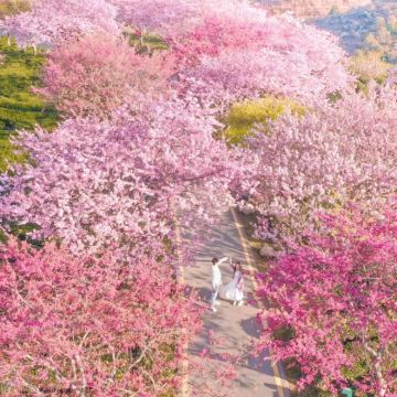 贵州贵阳+黄果树景区+梵净山+荔波+镇远县+西江千户苗寨6日5晚跟团游