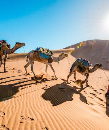 3D2N • From Marrakech : 3 Days Desert Tour To Fes