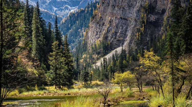 6D5N · Private Tours · Jiuzhaigou + Huanglong+ Panda Valley + Dujiangyan + Mt. Siguniang - Summer Escape - Airport Transfer included - Free Time in Chengdu