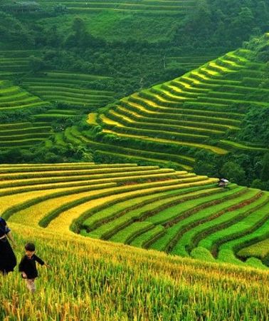 3D2N • From Hanoi: 2-Day Fansipan Peak and Trek to Village with Train
