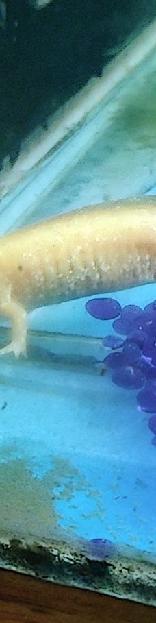 合肥海洋世界-合肥