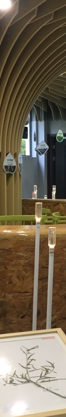 宁波植物园-宁波