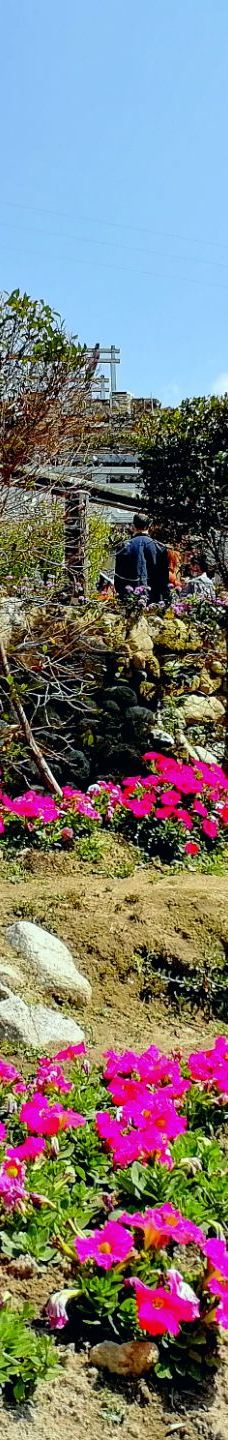 新兴天露山旅游度假区-新兴