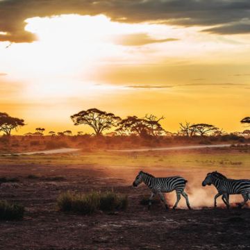 肯尼亚内罗毕8日7晚跟团游