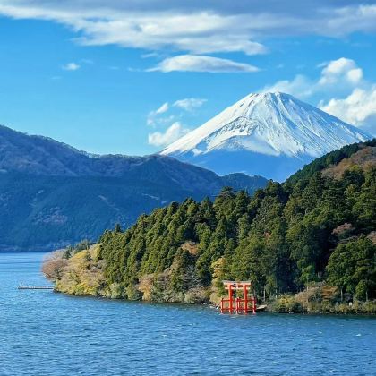 日本东京+富士山+京都+奈良+大阪6日跟团游