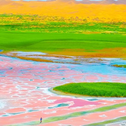 银川+腾格里沙漠+中卫5日4晚跟团游