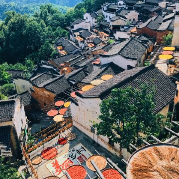 江西南昌+庐山市+景德镇+婺源4日3晚拼小团