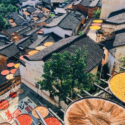 江西南昌+庐山+景德镇+婺源4日3晚拼小团