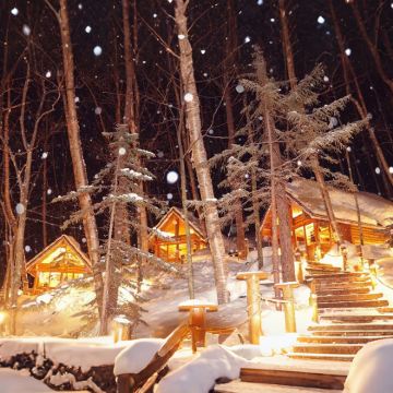 日本北海道+星野TOMAMU度假村滑雪场8日7晚私家团