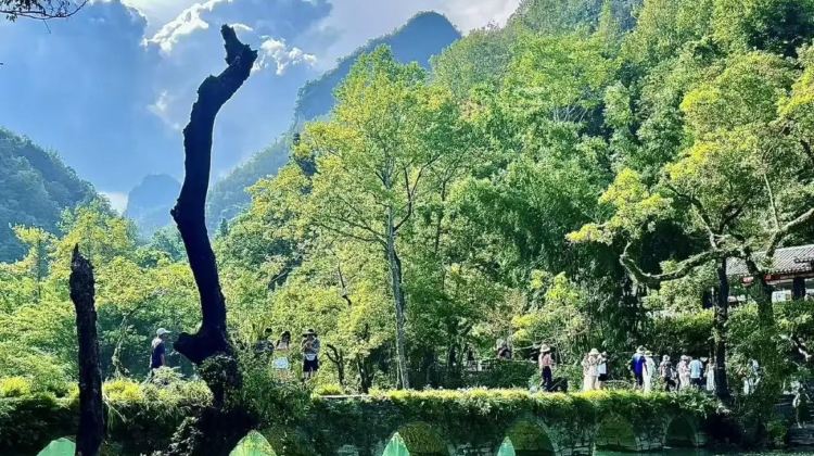7D6N · Private Tours · China + Guiyang + Huangguoshu Waterfall + Xijiang Qianhu Miao Village + Libo + Luoping Nine Dragons Waterfall Group
