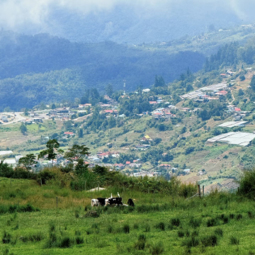 马来西亚6日5晚私家团