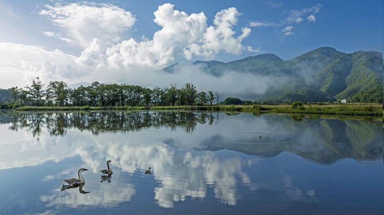6-day 5-night · Private Tour · Shennongjia + Enshi City