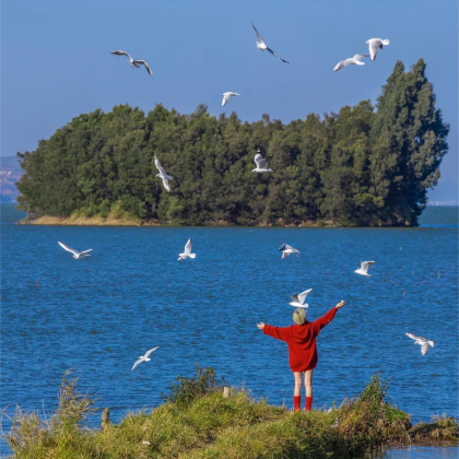 昆明+抚仙湖+建水+元阳+普者黑风景区+弥勒6日5晚自由行
