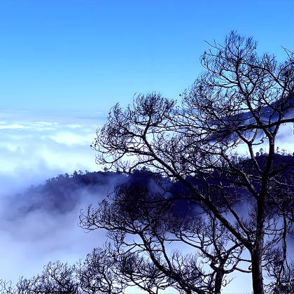 东江湖旅游区+高椅岭旅游区+仰天湖大草原+莽山五指峰景区+马皇丘大峡谷4日3晚拼小团