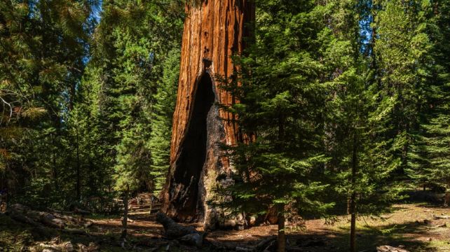 3-Day California Adventure Tour from Los Angeles·Kings Canyon National Park, Lake Tahoe & Alabama Hills